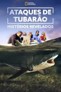 Baixar Ataques de Tubarão: Mistérios Revelados 1ª Temporada Dublado (2021) Mp4