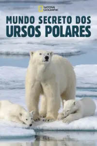 Baixar Mundo Secreto dos Ursos Polares Dublado (2021) Mp4