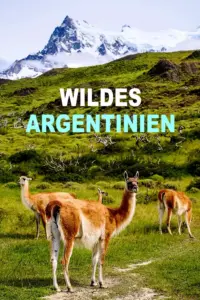 Baixar Wild Argentina: Extreme Earth 1ª Temporada Dublado (2020) Mp4