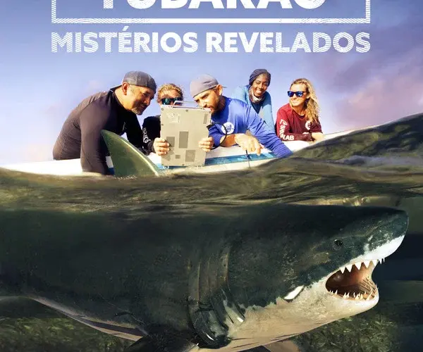 Baixar Ataques de Tubarão: Mistérios Revelados 1ª Temporada Dublado (2021) Mp4