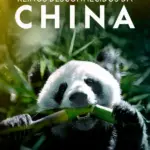 Baixar O Melhor de Reinos Desconhecidos da China Dublado (2020) Mp4