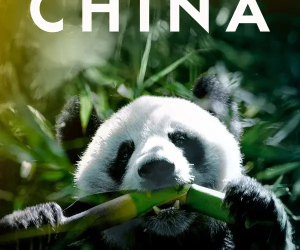 Baixar O Melhor de Reinos Desconhecidos da China Dublado (2020) Mp4