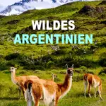 Baixar Wild Argentina: Extreme Earth 1ª Temporada Dublado (2020) Mp4