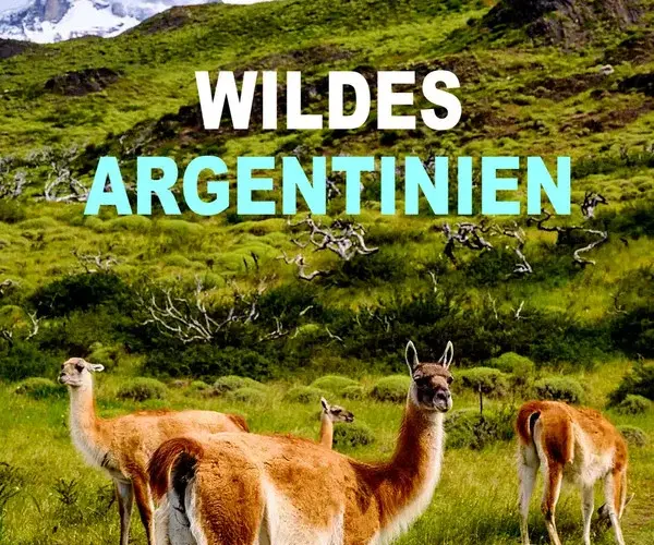 Baixar Wild Argentina: Extreme Earth 1ª Temporada Dublado (2020) Mp4
